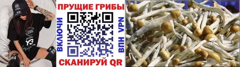 Псилоцибиновые грибы Magic Shrooms  дарнет шоп  mega как зайти  Плавск 